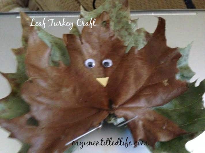 leaf turkey 1
